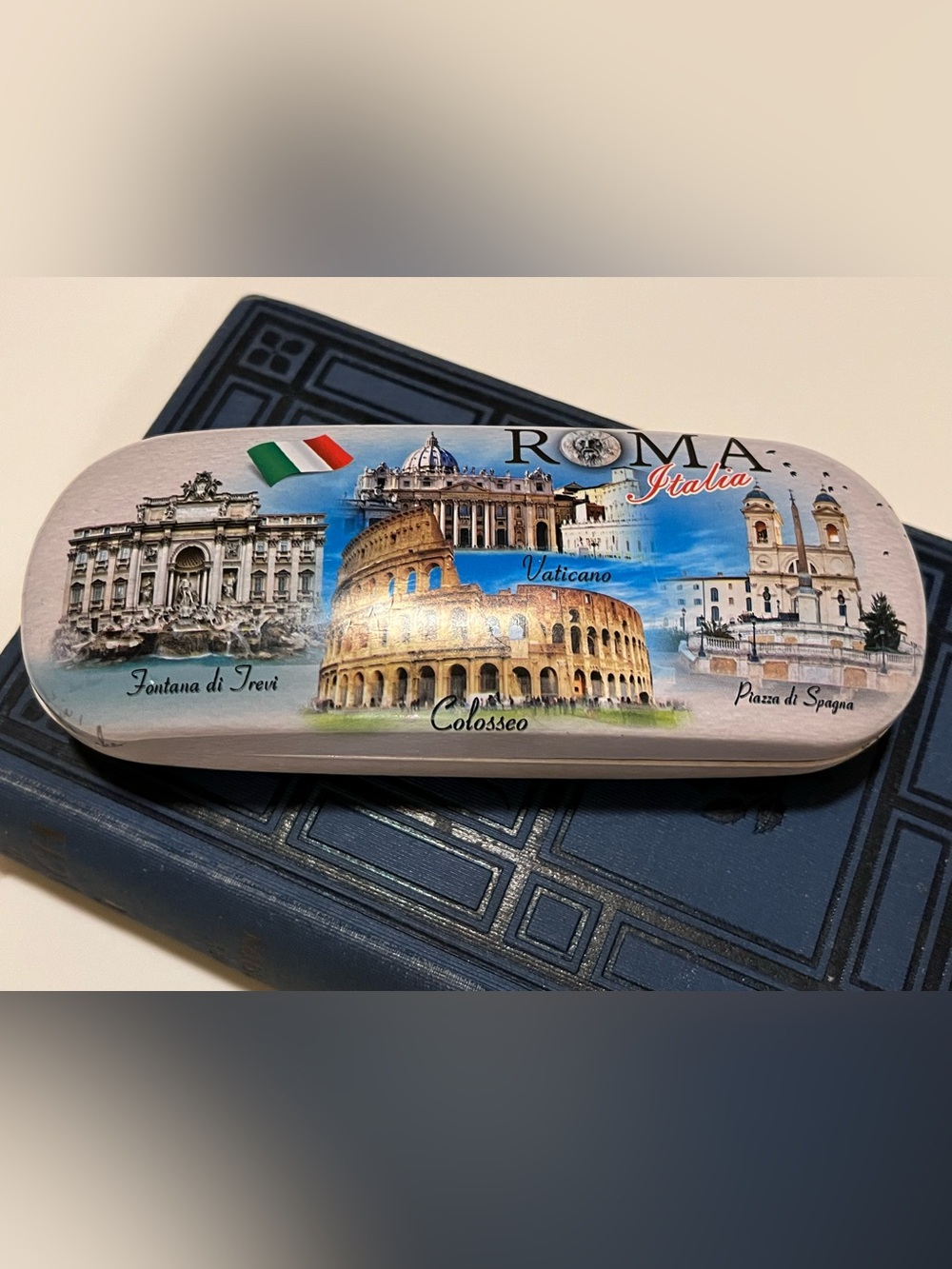 NWOT ROME THEMED HARD SHELL GLASSES CASE.